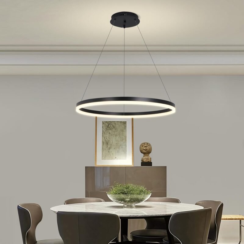 Modern LED Ring Chandelier Light with Remote Control