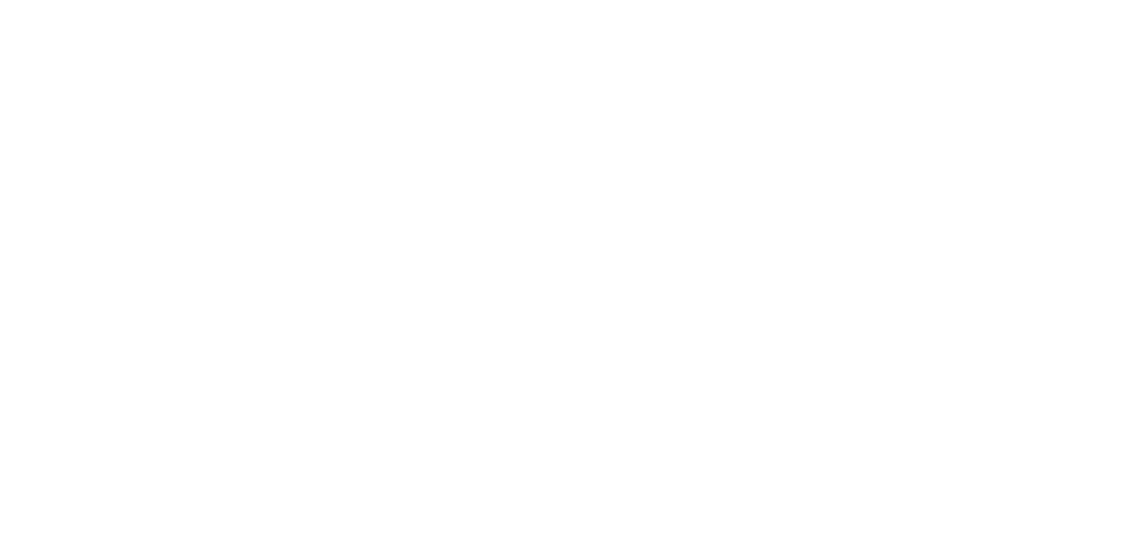 Sparkle and Shine Logo Light