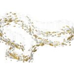 custom-designer-crystal-bowl-chandelier-18 custom designer crystal bowl chandelier