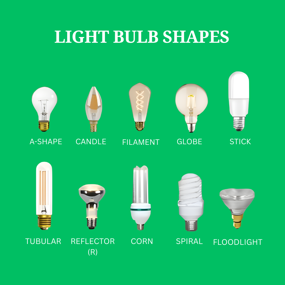 Light Bulb Shapes and Models