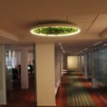 Green-Moss-Ring-Pendant-Light-11 Green Moss Ring Pendant Light