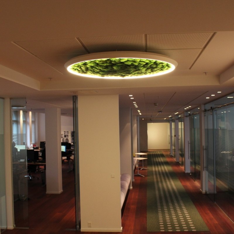 Green Moss Ring Pendant Light