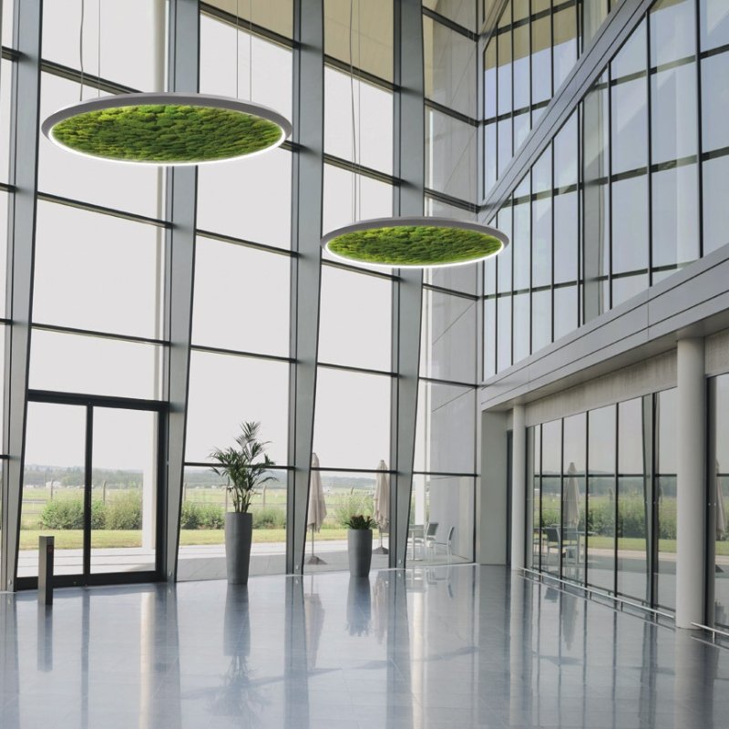 Green Moss Ring Pendant Light