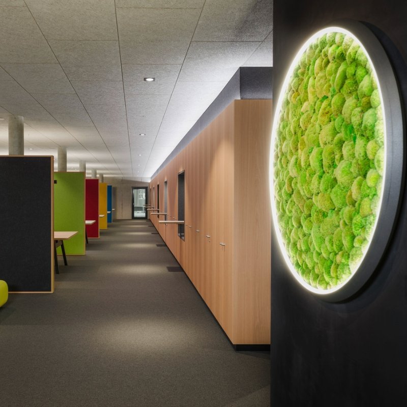 Green Moss Ring Pendant Light