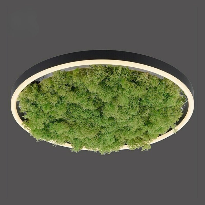 Green Moss Ring Pendant Light