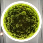 Green-Moss-Ring-Pendant-Light-4 Green Moss Ring Pendant Light