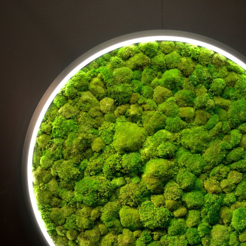 Green Moss Ring Pendant Light
