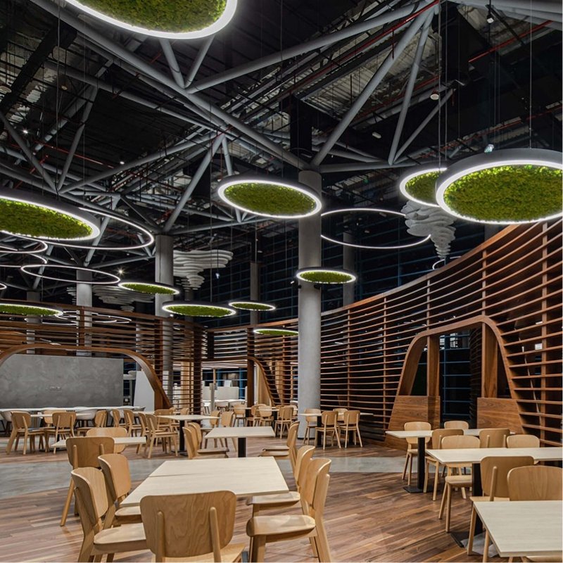 Green Moss Ring Pendant Light