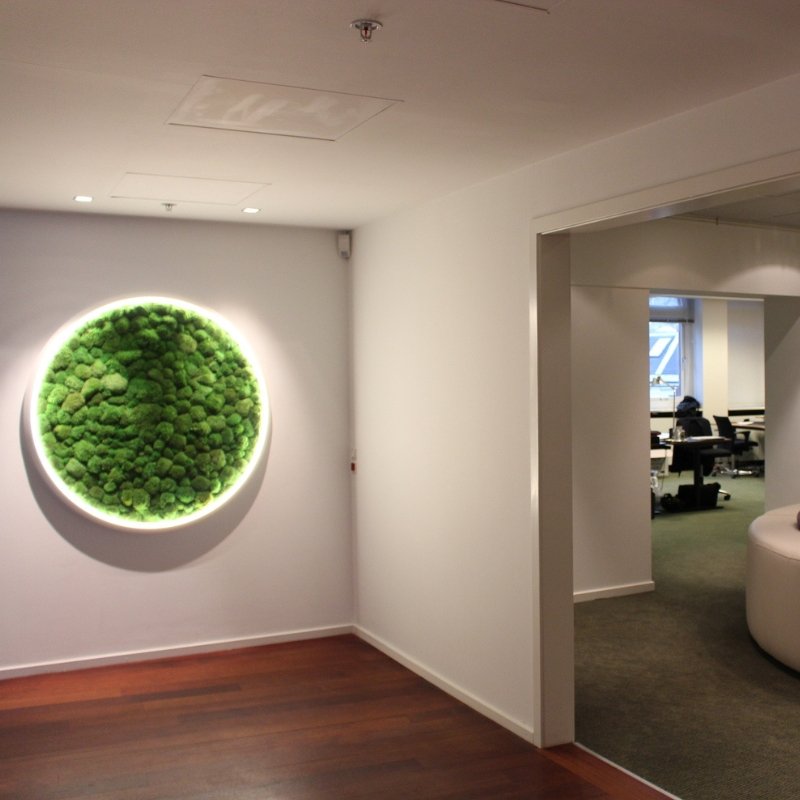 Green Moss Ring Pendant Light